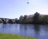 River Thay with bridge