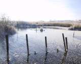 Pilsensee