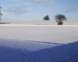 footsteps in the snow